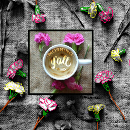 freetoedit myedit coffeetime flower morning