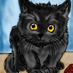 wdpblackcat cat sweet sweetpets blackcat wdpvideogame