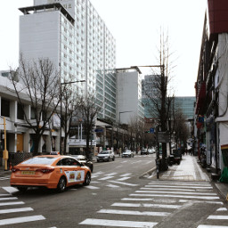 freetoedit korea street streetphotography coldmorning